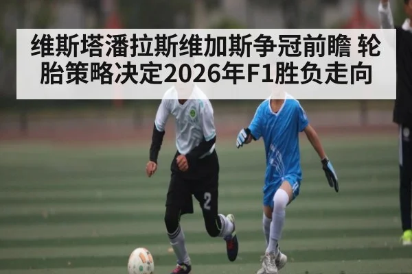 维斯塔潘拉斯维加斯争冠前瞻 轮胎策略决定2026年F1胜负走向